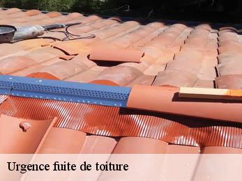 Urgence fuite de toiture 38750