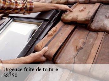 Urgence fuite de toiture 38750