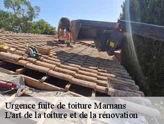 Urgence fuite de toiture  marnans-38980 L'art de la toiture et de la rénovation