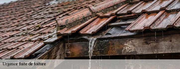 Urgence fuite de toiture  38300