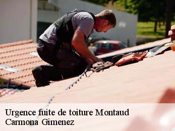 Urgence fuite de toiture