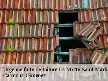 Urgence fuite de toiture 38770