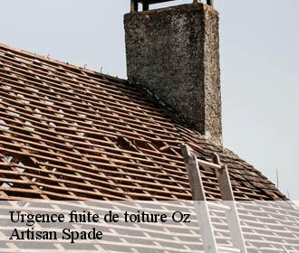 Urgence fuite de toiture oz-38114 Artisan Spade