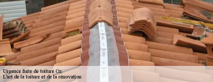 Urgence fuite de toiture  38114