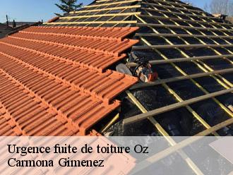 Urgence fuite de toiture oz-38114 Couvreur Payen