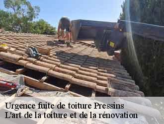 Urgence fuite de toiture  pressins-38480 L'art de la toiture et de la rénovation