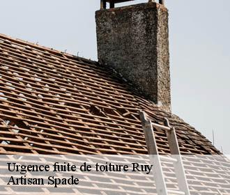 Urgence fuite de toiture  ruy-38300 Artisan Spade