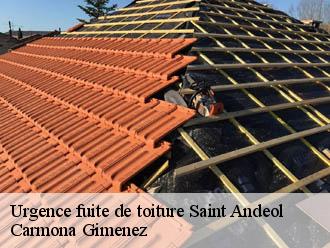 Urgence fuite de toiture  saint-andeol-38650 Couvreur Payen