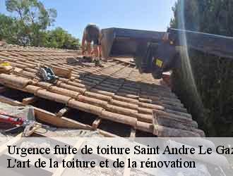 Urgence fuite de toiture  saint-andre-le-gaz-38490 L'art de la toiture et de la rénovation
