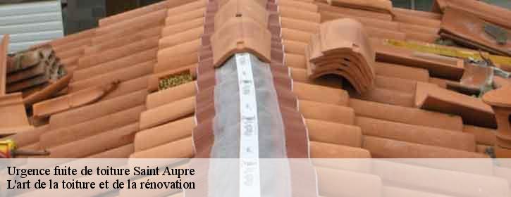 Urgence fuite de toiture  38960