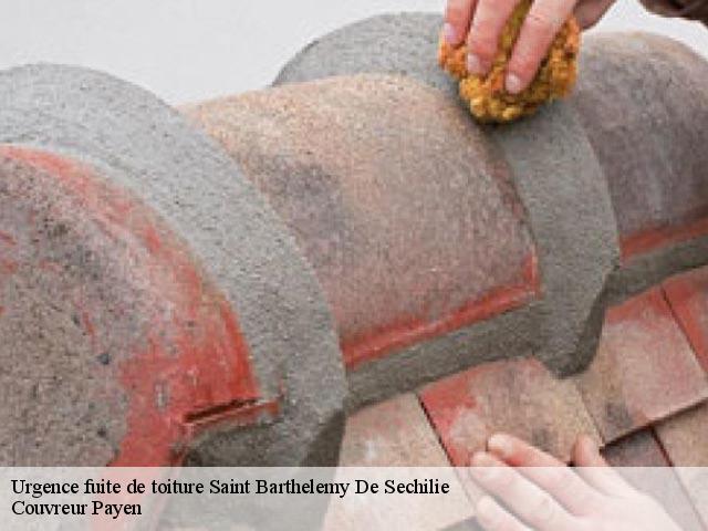 Urgence fuite de toiture  saint-barthelemy-de-sechilie-38220 Couvreur Payen