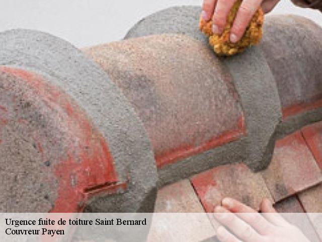 Urgence fuite de toiture  saint-bernard-38660 Couvreur Payen