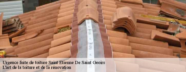 Urgence fuite de toiture 38590