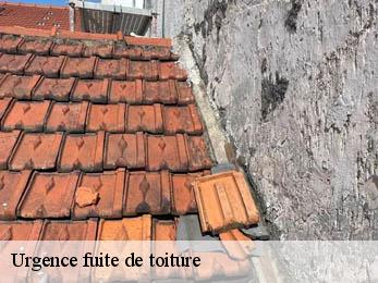 Urgence fuite de toiture