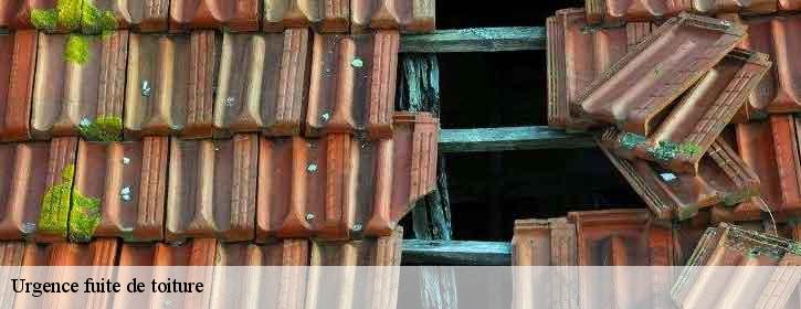 Urgence fuite de toiture  38450