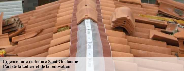 Urgence fuite de toiture 38650