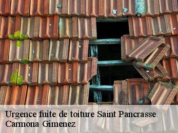 Urgence fuite de toiture 38660