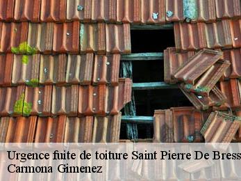 Urgence fuite de toiture 38870