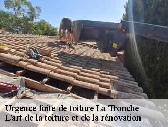 Urgence fuite de toiture  la-tronche-38700 L'art de la toiture et de la rénovation