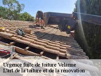 Urgence fuite de toiture  velanne-38620 L'art de la toiture et de la rénovation