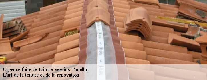 Urgence fuite de toiture  38630