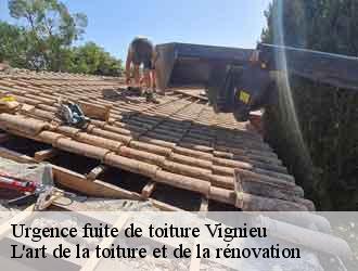 Urgence fuite de toiture vignieu-38890 L'art de la toiture et de la rénovation