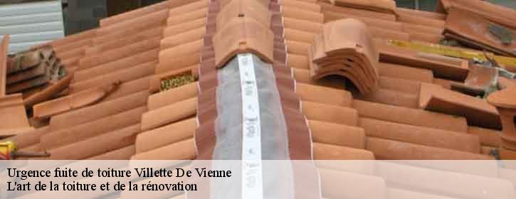 Urgence fuite de toiture 38200