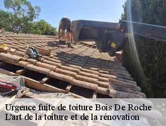 Urgence fuite de toiture  bois-de-roche-38090 L'art de la toiture et de la rénovation