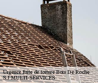 Urgence fuite de toiture bois-de-roche-38090 S.J MULTI-SERVICES