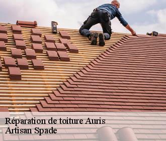 Réparation de toiture auris-38142 Artisan Spade