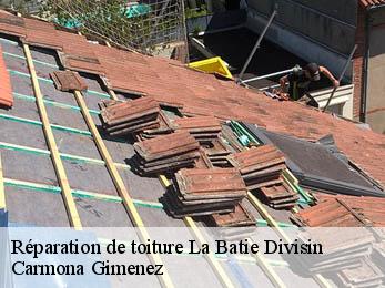 Réparation de toiture 38490