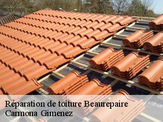 Réparation de toiture beaurepaire-38270 Carmona Gimenez