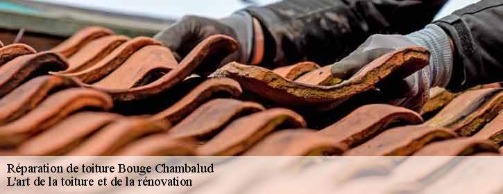 Réparation de toiture  38150