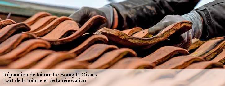 Réparation de toiture  38520