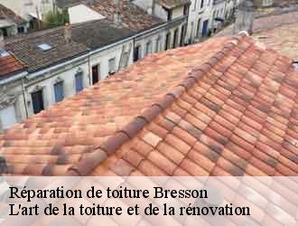 Réparation de toiture bresson-38320 L'art de la toiture et de la rénovation