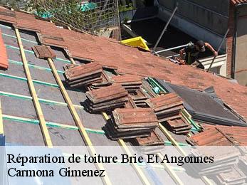 Réparation de toiture 38320