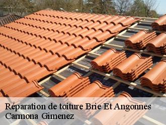 Réparation de toiture brie-et-angonnes-38320 Couvreur Payen