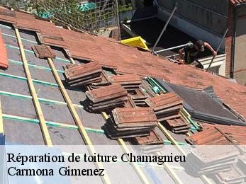 Réparation de toiture 38460