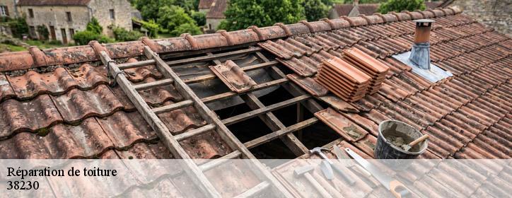 Réparation de toiture 38230