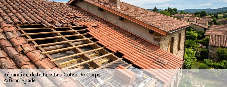 Réparation de toiture 38970