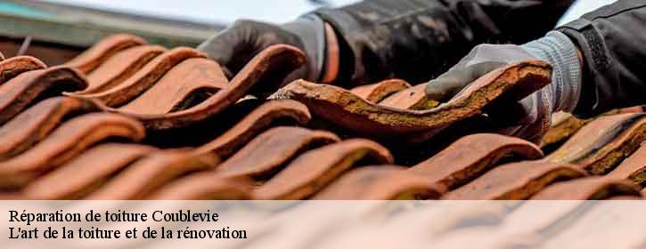 Réparation de toiture  38500