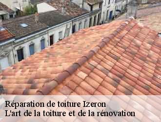 Réparation de toiture izeron-38160 L'art de la toiture et de la rénovation