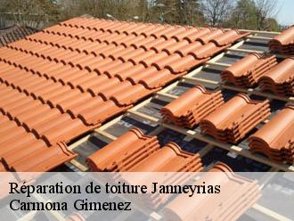 Réparation de toiture janneyrias-38280 Carmona Gimenez