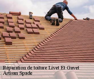 Réparation de toiture livet-et-gavet-38220 Artisan Spade