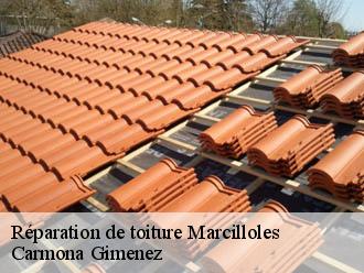 Réparation de toiture marcilloles-38260 Carmona Gimenez