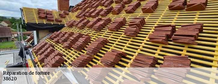 Réparation de toiture  38620