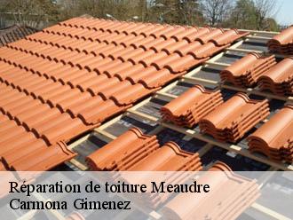 Réparation de toiture meaudre-38112