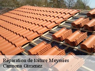 Réparation de toiture meyssies-38440 Carmona Gimenez