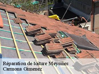 Réparation de toiture 38440