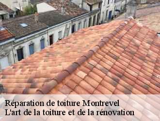 Réparation de toiture  montrevel-38690 L'art de la toiture et de la rénovation